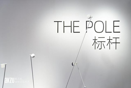 Ҿ֮콹Ľ㣺The Poleϵ